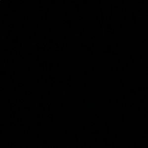 Meet your Posher, Dafne perez